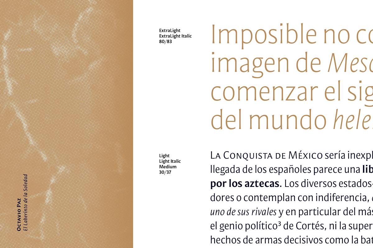 Mestiza Sans, a Sans Serif Font by Lechuga Type (Photo 4 of 19)