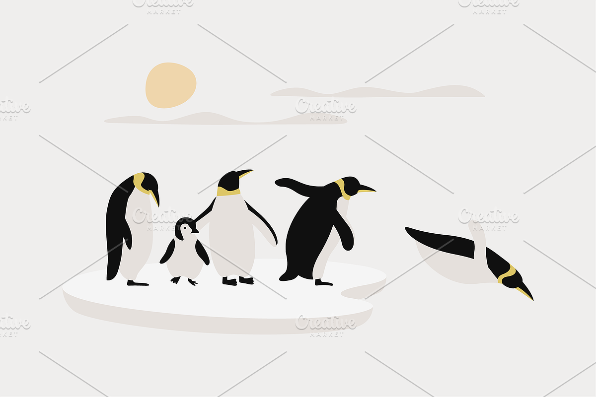 Arctic Animals Illustration, an Animal Illustration by Jump Studio (Photo 7 of 10)
