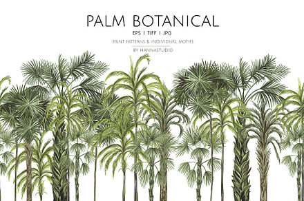 PALM BOTANICAL, a Pattern Graphic by HannaStudio