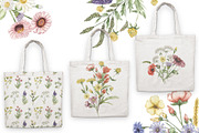 Watercolor Field Flowers Collection, a Decorative Illustration by MayaNavits (Thumbnail 15 of 16)