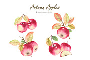 Autumn Apples, a Decorative Illustration by oKOLOstyle (Thumbnail 5 of 6)