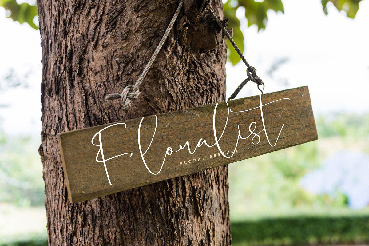 Blooming Stockholm Modern Script, a Script Font by stylishtype.co (Photo 5 of 20)
