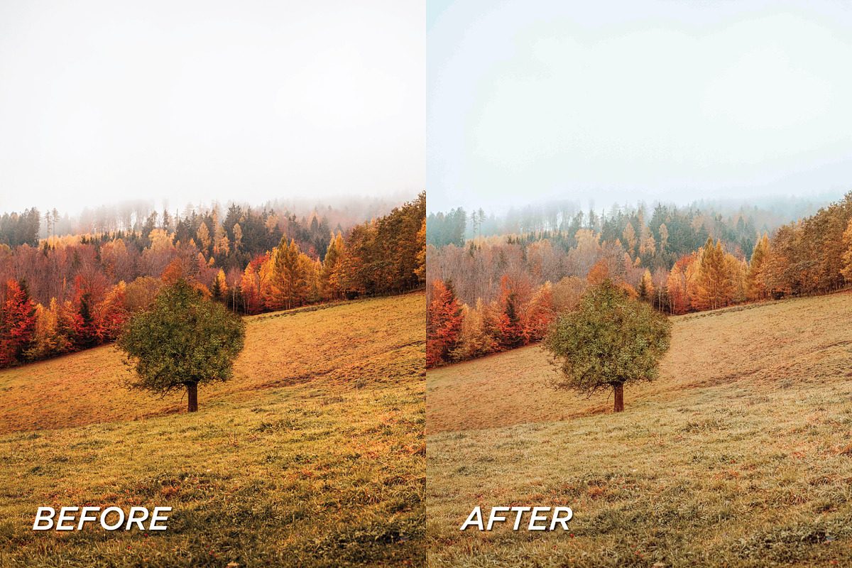 15 Cozy Fall Lightroom Presets, a Preset Add-On by TheWayfarerShoppe (Photo 6 of 9)