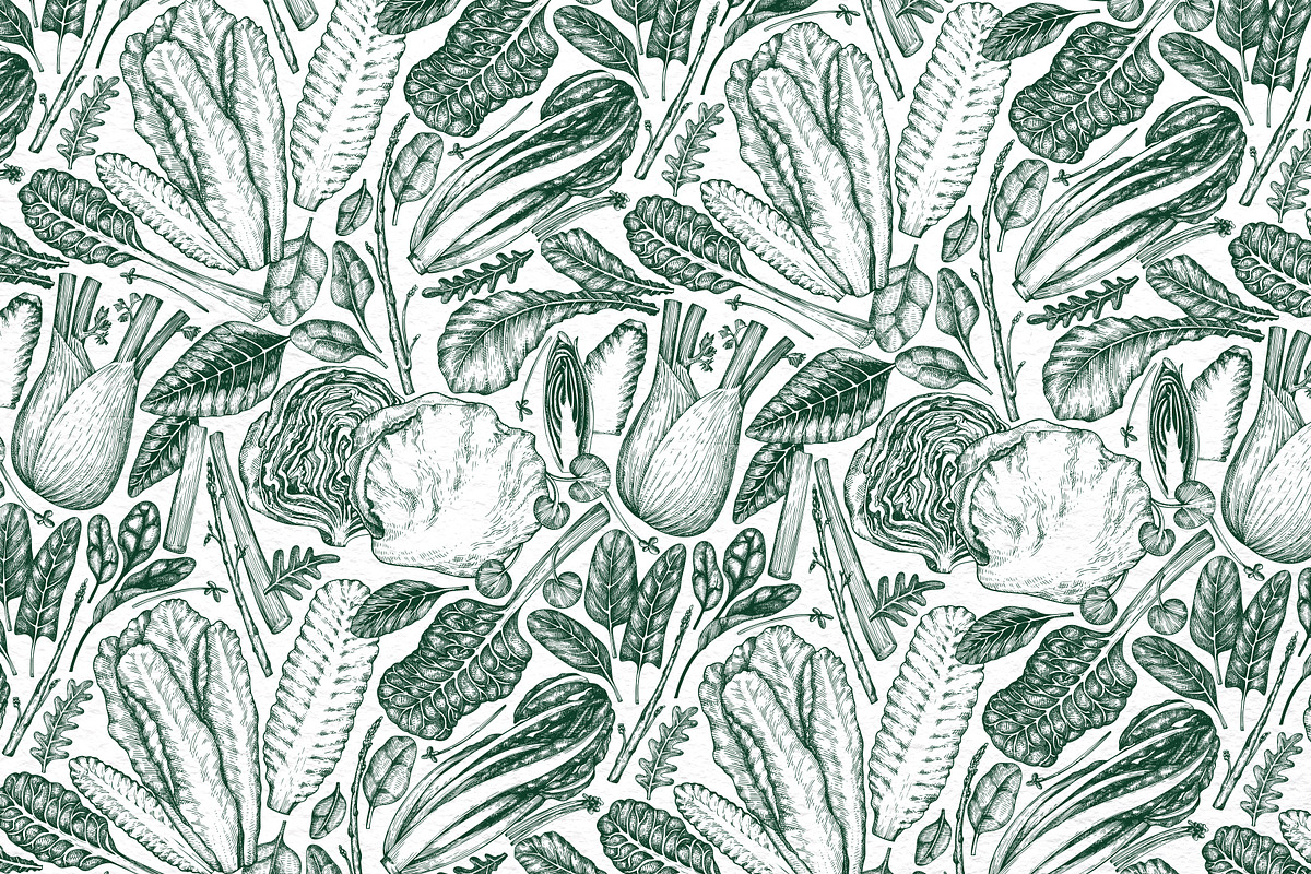 Green Salad Vector Collection, a Food Illustration by Lubov Illustrations Shop (Photo 7 of 7)