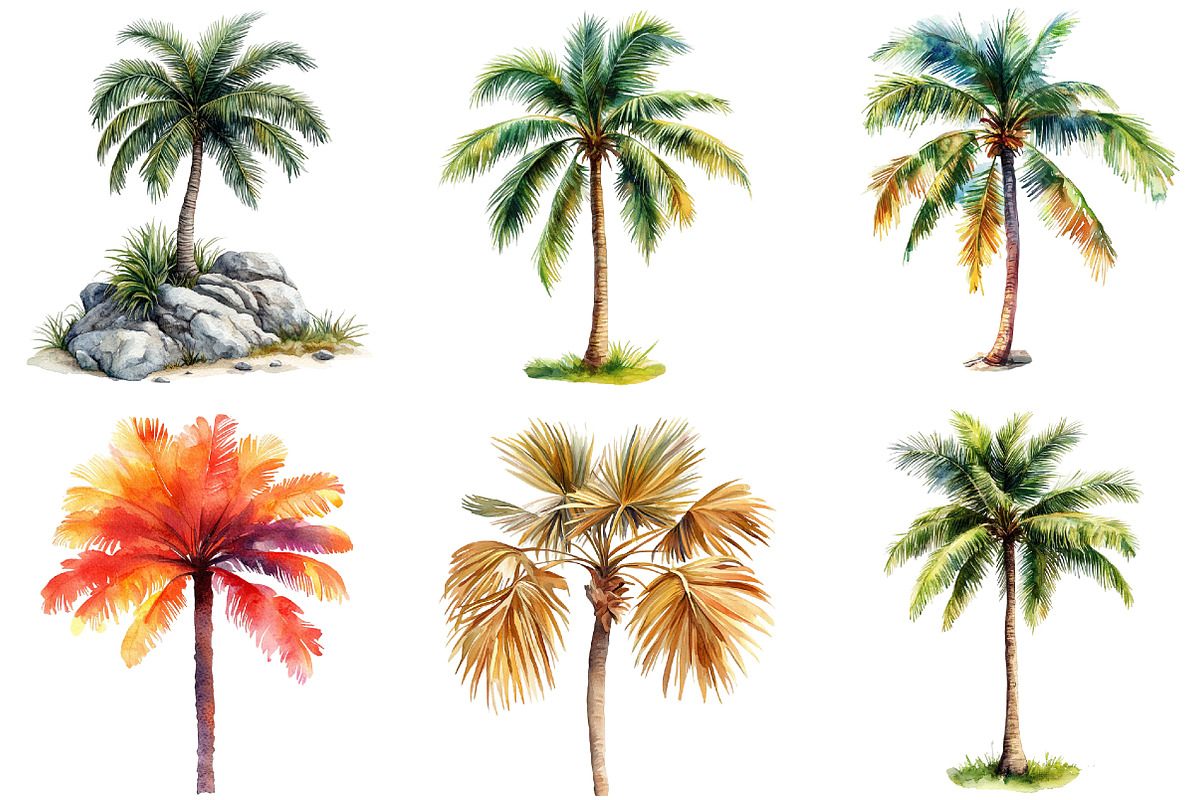 Tropical Palm Tree Clipart Bundle, an Illustration by Pixels.Craft (Photo 7 of 8)