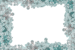 Blank background with bush of hydrangeas decorated borders, a Background Photo by DanFLCreativo