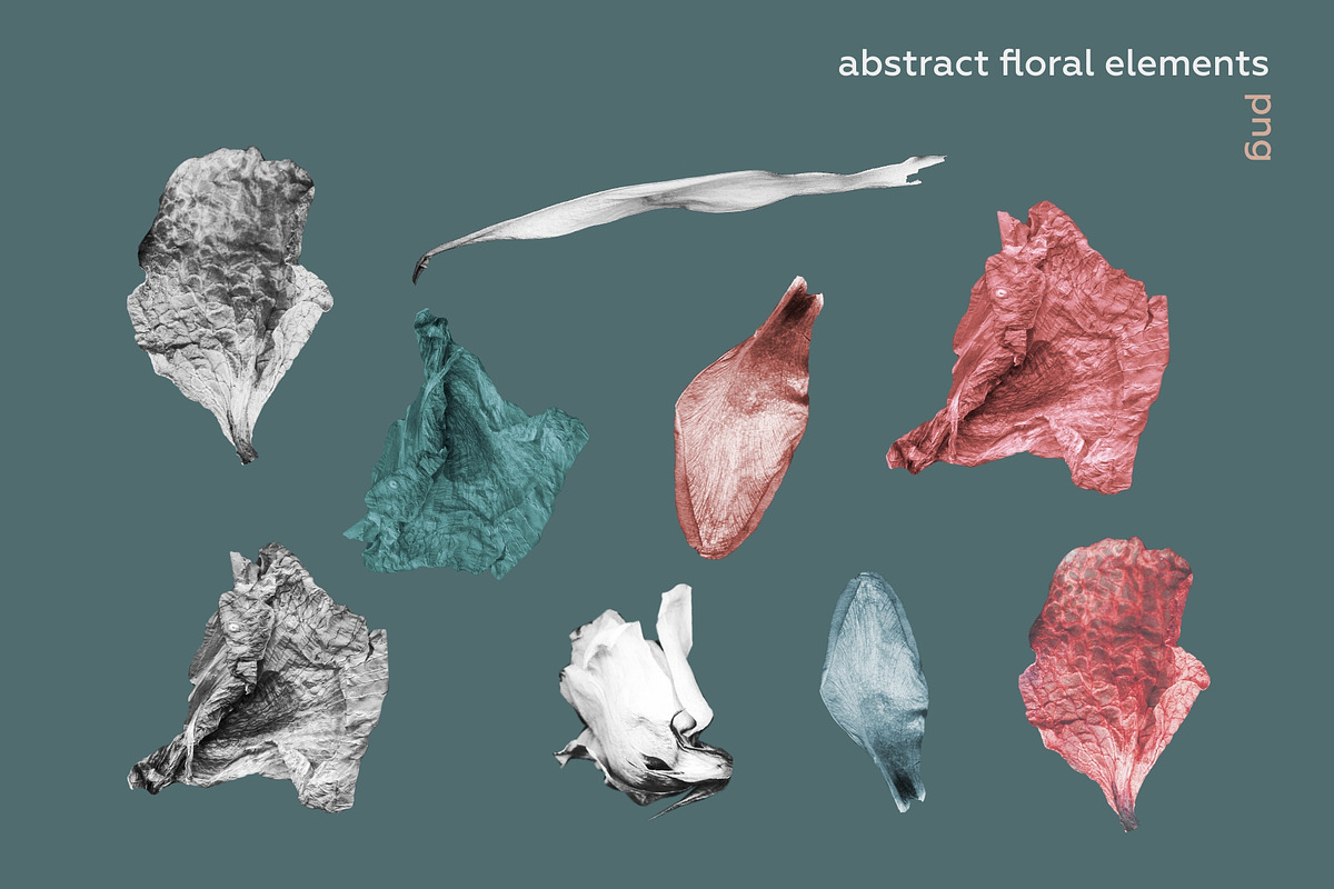 Abstraction collage floral bundle., an Object Graphic by lisa_kalev (Photo 6 of 24)