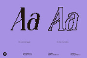 CS Alma Pixel, a Serif Font by Craft Supply Co. (Thumbnail 3 of 8)