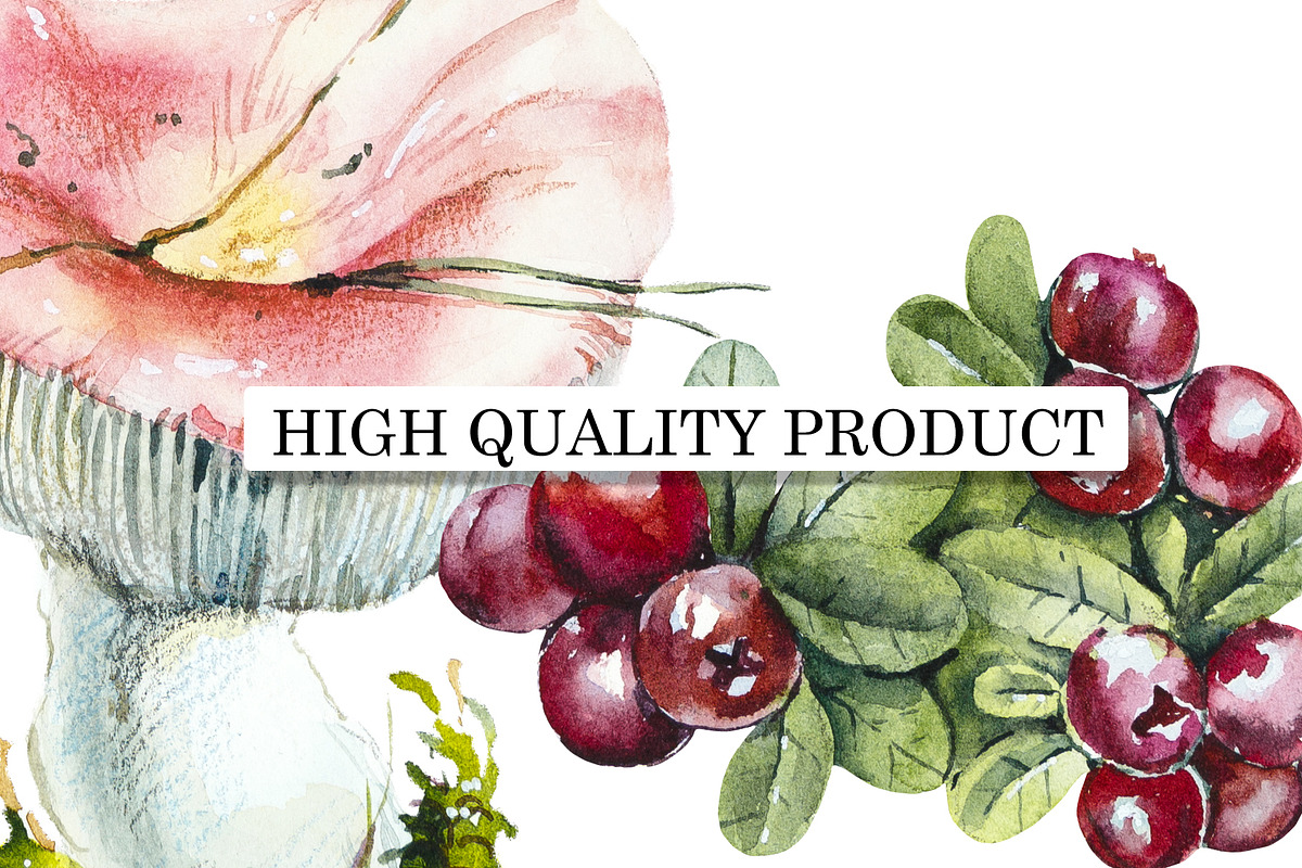 Berries & Mushrooms Clipart, an Illustration by Budogoshch (Photo 4 of 7)