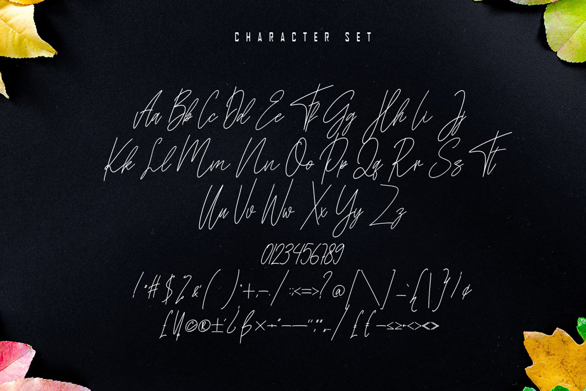 Kathilass - Signature Font, a Script Font by skiiller studio (Photo 9 of 10)