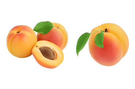 apricot fruit with half isolated on, a Food & Drink Photo by NataPhoto
