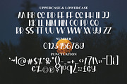Pinkies, a Handwritten Font by FreshTypeINK (Thumbnail 3 of 9)