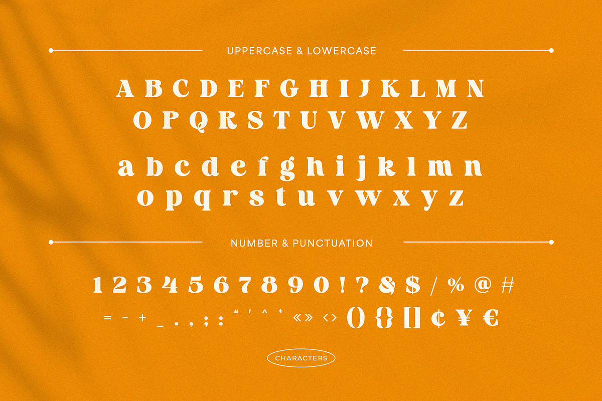 Royal Tomato – Display Retro Serif F, a Serif Font by BrandSemut (Photo 9 of 10)