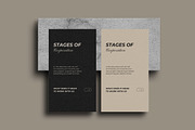 Multipurpose Business Stories Tmplts, a Social Media Template by Make It Yours Lab. (Thumbnail 7 of 27)