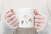 White Floral Clipart, an Illustration by Watercolor design (Thumbnail 10 of 12)