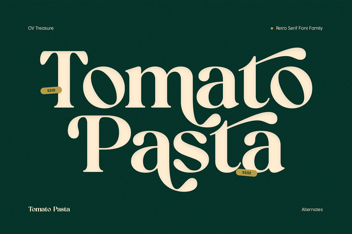 OV Treasure Retro Serif Font Family, a Serif Font by OV Type (Photo 17 of 21)