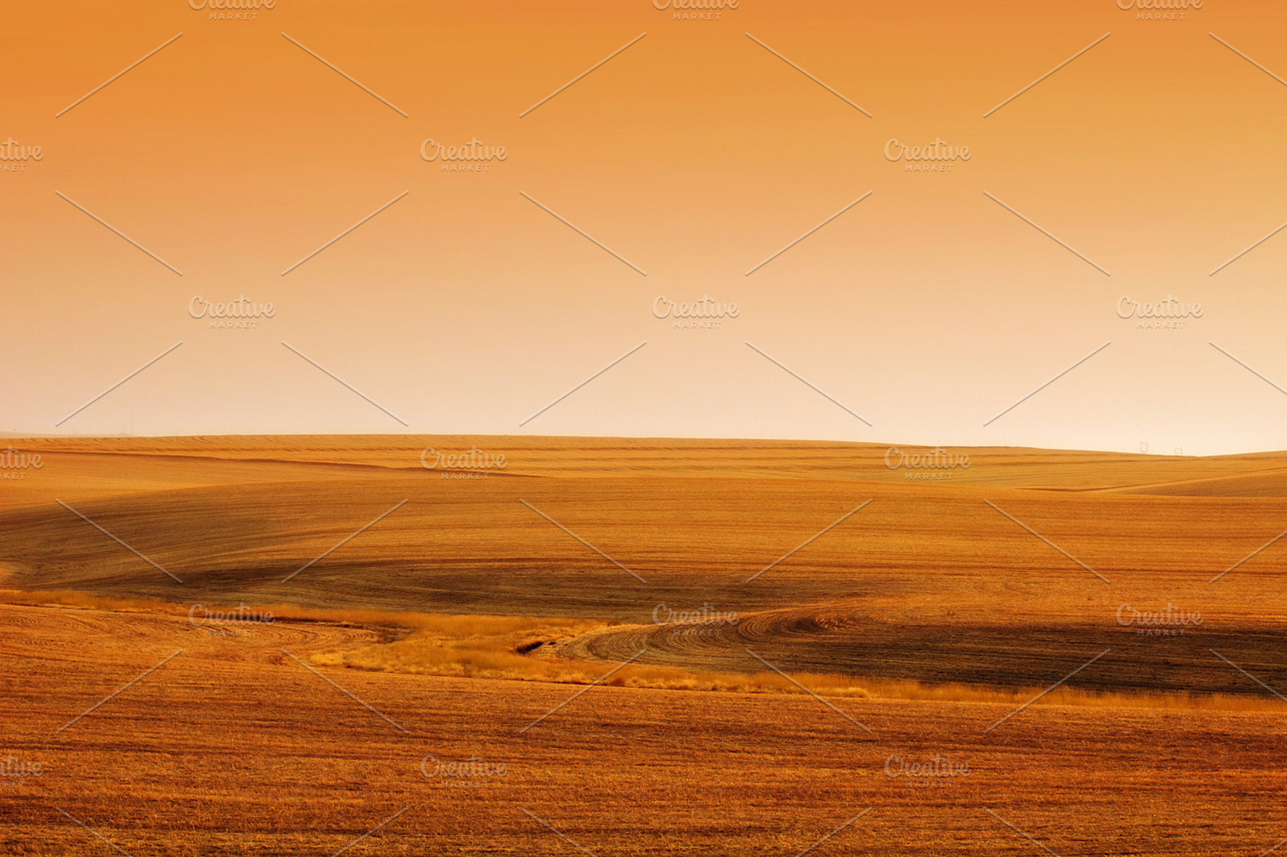 Desert Background
