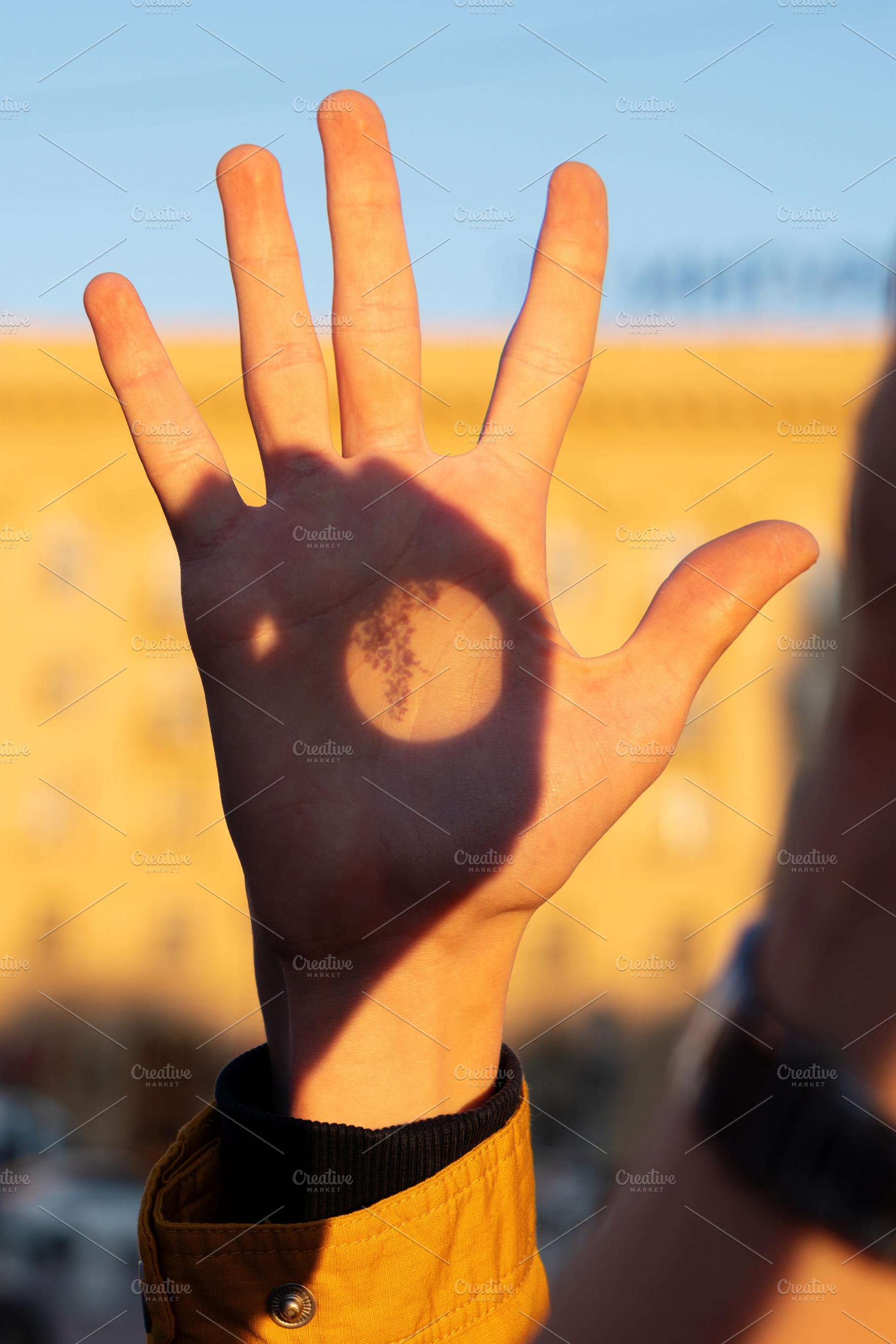 Hand illuminated by sunset, a Wallpaper Photo by Elena Vagengeim