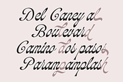 Soulmate Palms | Vintage Script, a Script Font by Jolicia Type (Thumbnail 2 of 12)