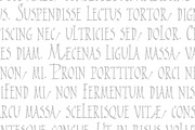 2009 Primitive, a Serif Font by GLC Foundry (Thumbnail 4 of 4)