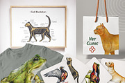Animal Anatomy Study Pack, an Education Illustration by AnitaPol (Thumbnail 19 of 20)