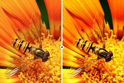 36 Business Branding LR & PS Presets, an Action Add-On by M E G A S E T S (Thumbnail 10 of 10)