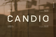 Candio – Cool Sans w. Unique Glyphs, a Sans Serif Font by Local Desk Designstudio (Thumbnail 9 of 9)