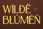 CS Rugbi Drawn, a Serif Font by Craft Supply Co. (Thumbnail 5 of 8)