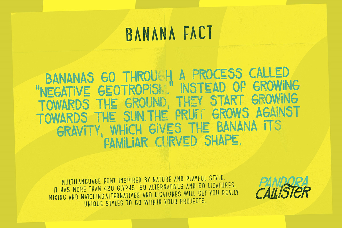 Pandora Callister Font, a Font by LeoSupply.co (Photo 10 of 10)
