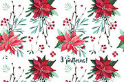 Watercolor Christmas flowers, a Decorative Illustration by YuliaBiser (Thumbnail 8 of 10)