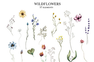 Watercolor Wildflowers. 1 Vol.