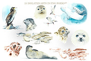 Watercolor Wild Animals, an Animal Illustration by Budogoshch (Thumbnail 2 of 5)