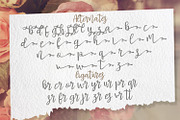 Basuhed - Handwritten Font, a Script Font by StringLabs (Thumbnail 12 of 12)