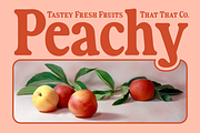 Fiyona Retro Variable Font, a Serif Font by That That Creative (Thumbnail 18 of 24)