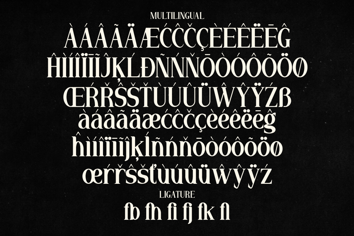 Ragfile - Display Serif Typeface, a Serif Font by MaikoHatta (Photo 6 of 9)