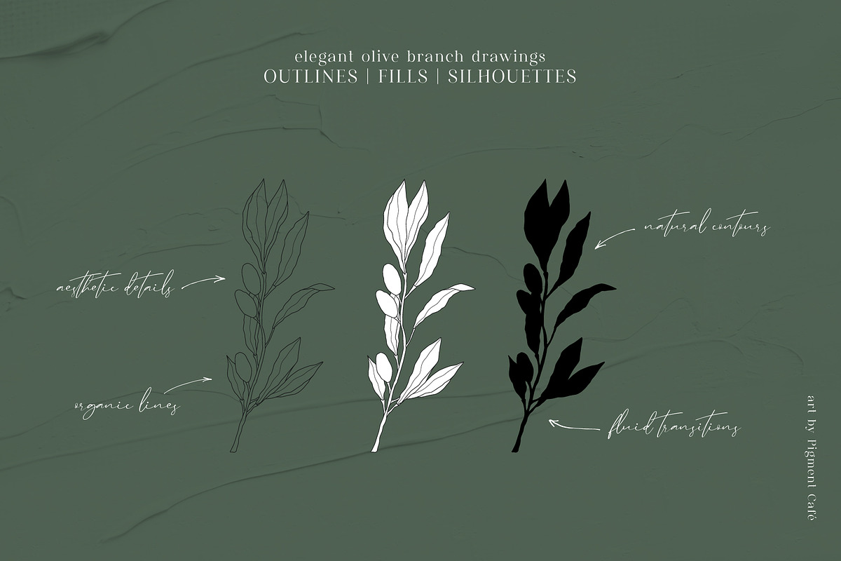 Olive Branches & Botanical Patterns, a Decorative Illustration by Pigment Café (Photo 7 of 10)