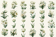 Tulip Whisper Watercolor Clipart, an Illustration by DreamCafeArt (Thumbnail 2 of 6)