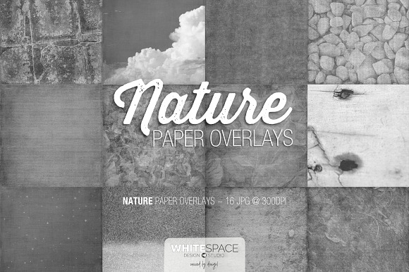 Nature Digital Paper Overlays preview 5