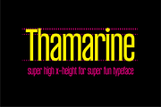 Thamarine Condensed Sans Font, a Sans Serif Font by PeanutButter Type (Thumbnail 3 of 9)