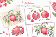 Watercolor Pomegranates, a Decorative Illustration by Irina Diasli (Thumbnail 3 of 7)