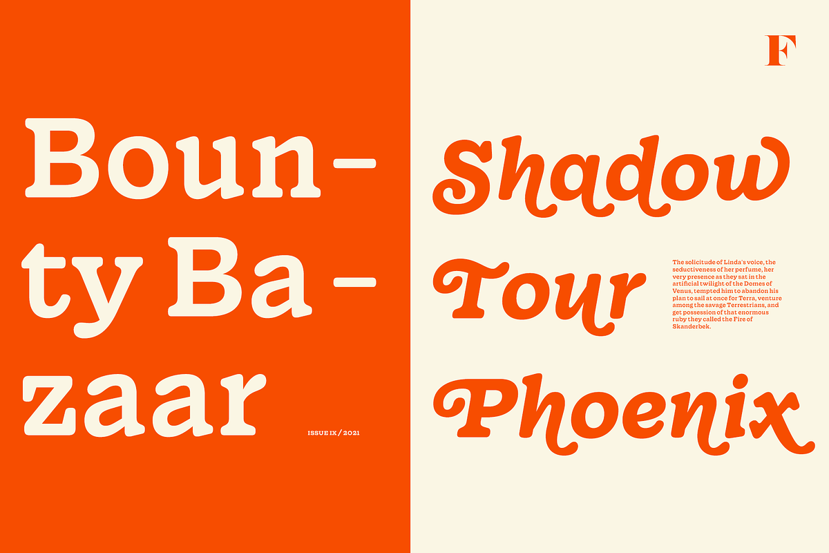 Wonder, a Serif Font by Fenotype (Photo 7 of 15)