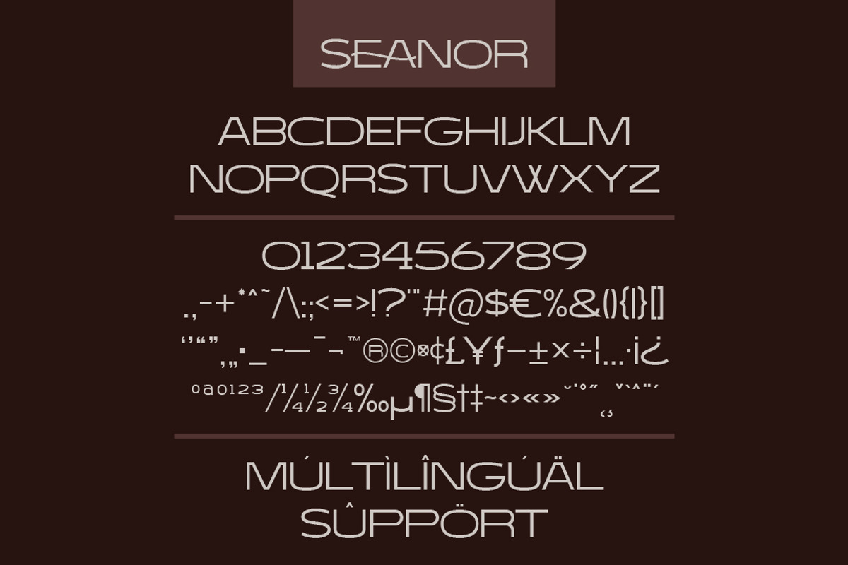 Seanor - Modern Logo Font, a Sans Serif Font by Typebae (Photo 8 of 8)