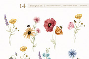 Watercolor Botanical Wildflowers Set, a Decorative Illustration by Carol Lozove (Thumbnail 9 of 36)