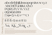 Beauty Swing, a Serif Font by din-studio.com (Thumbnail 9 of 10)