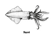 Seafood collection_part 1, a Food Illustration by ZotovShop (Thumbnail 2 of 11)
