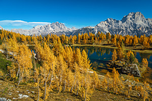 Federa lake in the larch forest, a Nature Photo by Alpine Dreams