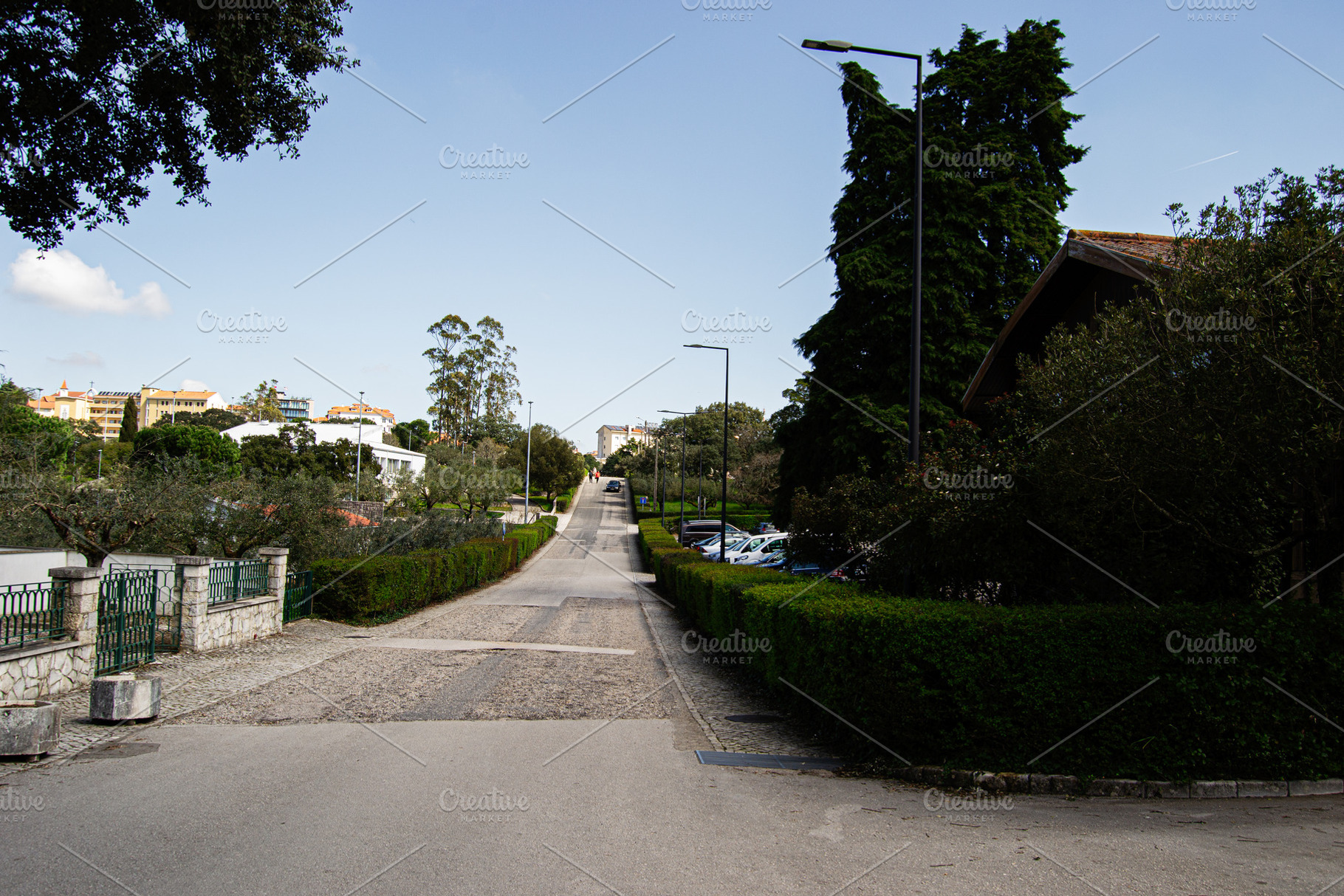 Downhill view of a road bordered by greenery in Fatima, Portugal, a Photo by AS photostudio