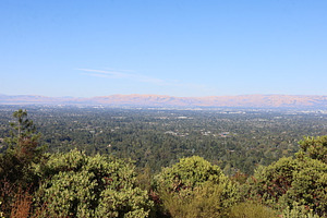 Silicon valley from Villa Montalvo, California, USA, an Architecture Photo by uncreative