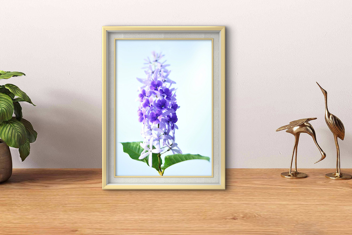 Petrea Volubilis Fine Art Print, a Nature Photo by VietArtworks (Photo 3 of 6)