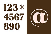 Regina Morise Classy Retro Serif, a Serif Font by timelesstype.co (Thumbnail 12 of 20)
